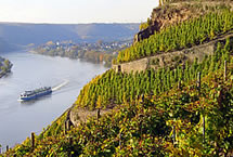 Huge Savings on<br>Riviera River Cruises!